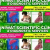 🌿Dr Nimoh (Niwat Sci hosp)🌿