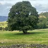 colin.mclean22