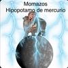 momazos_hipopotamo_de