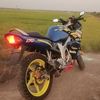 dwi.fitri678