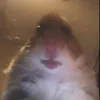 arthur_gr11