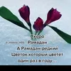 user87213618728157