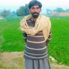 mohsin.ali0239