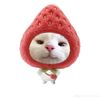 aac4mnd_