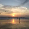 irsena92