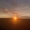 tyx_coate