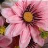 nailah8449