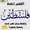 alsharalsnady5