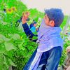 inayat.ali1376