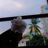 priyamojumder172