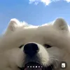 cuccutxaoxaoi
