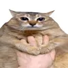 daicalop8b