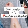 mohsin_habibi0