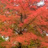 rolinhiro