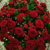 fayzullayeva.u.chi