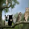 rengokukukurenren