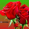 user26722715227132