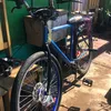 estevaott244