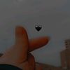 lekaa.elsayed4