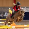 viola_showjumping1