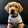 perrito.del.tottenham