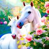 user3833329002061
