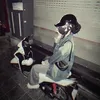 yin_mee_chipp