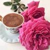 papatya216542