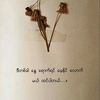 kyaw.gyi66417