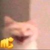 123456s235
