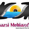 Banzai Multimedia