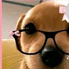 aisha.ashton