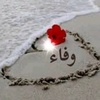 wafaa.mostafa412