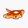 sea_pancake1234