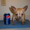 pepsi_has_myheart