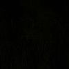 ahma2._