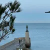 inireland24