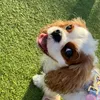 sunshinepixie6