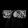 habiba.ahmed3599