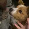 concacochancmthibtcaidj