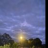 johnnyclark053