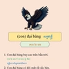 .study_vietnamese_free