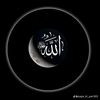 user180213330131