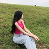 planin_40