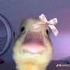 .kakakmikayla0