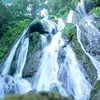 chongmua1982