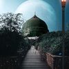 talhashah78692111