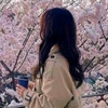 cherry_blossom8337