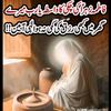 ali.asad5019