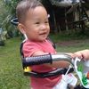 andri.nardion